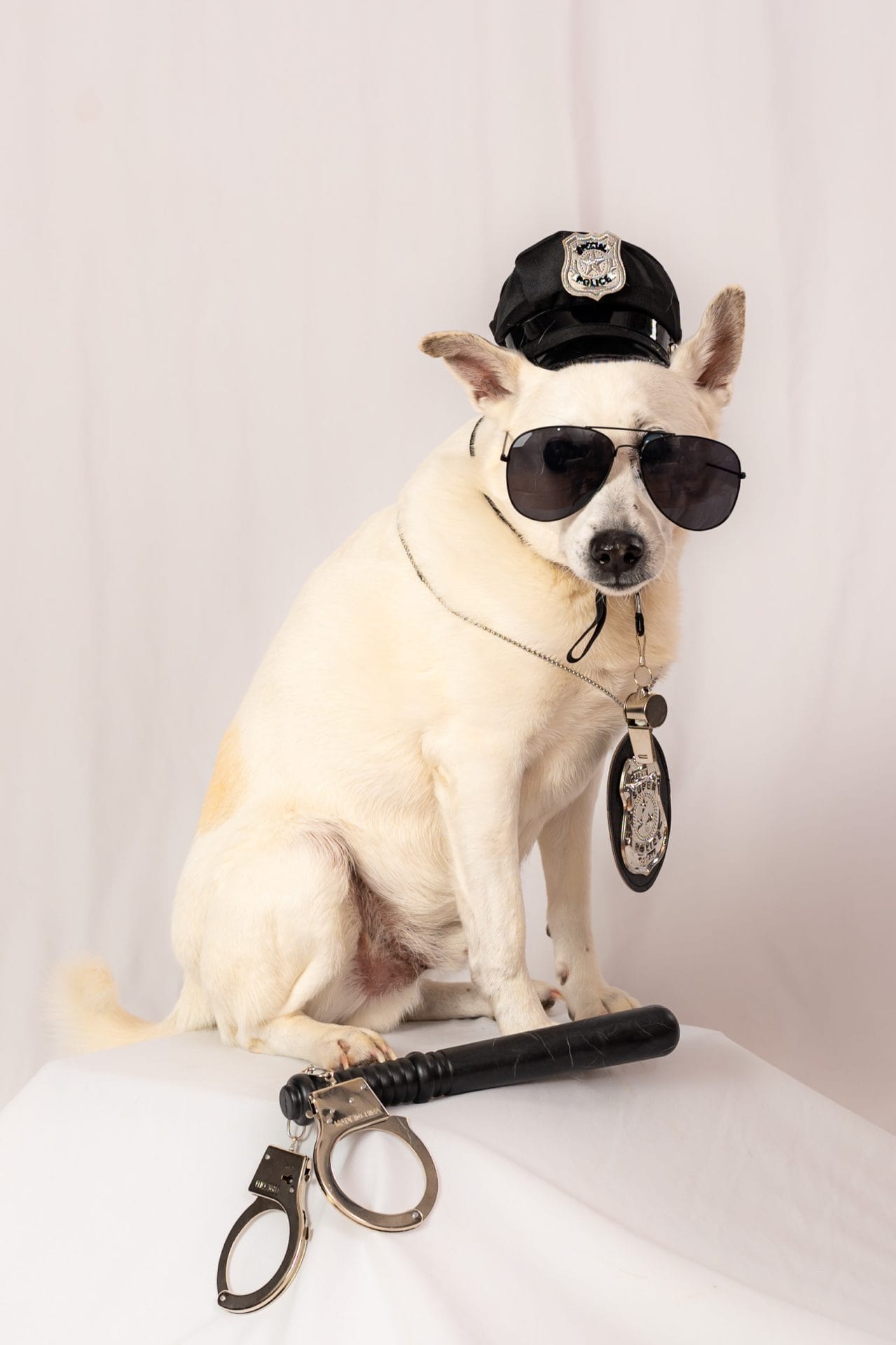 Brian dog wearing sunglasses, police hat and badge; next to baton and handcuffs.