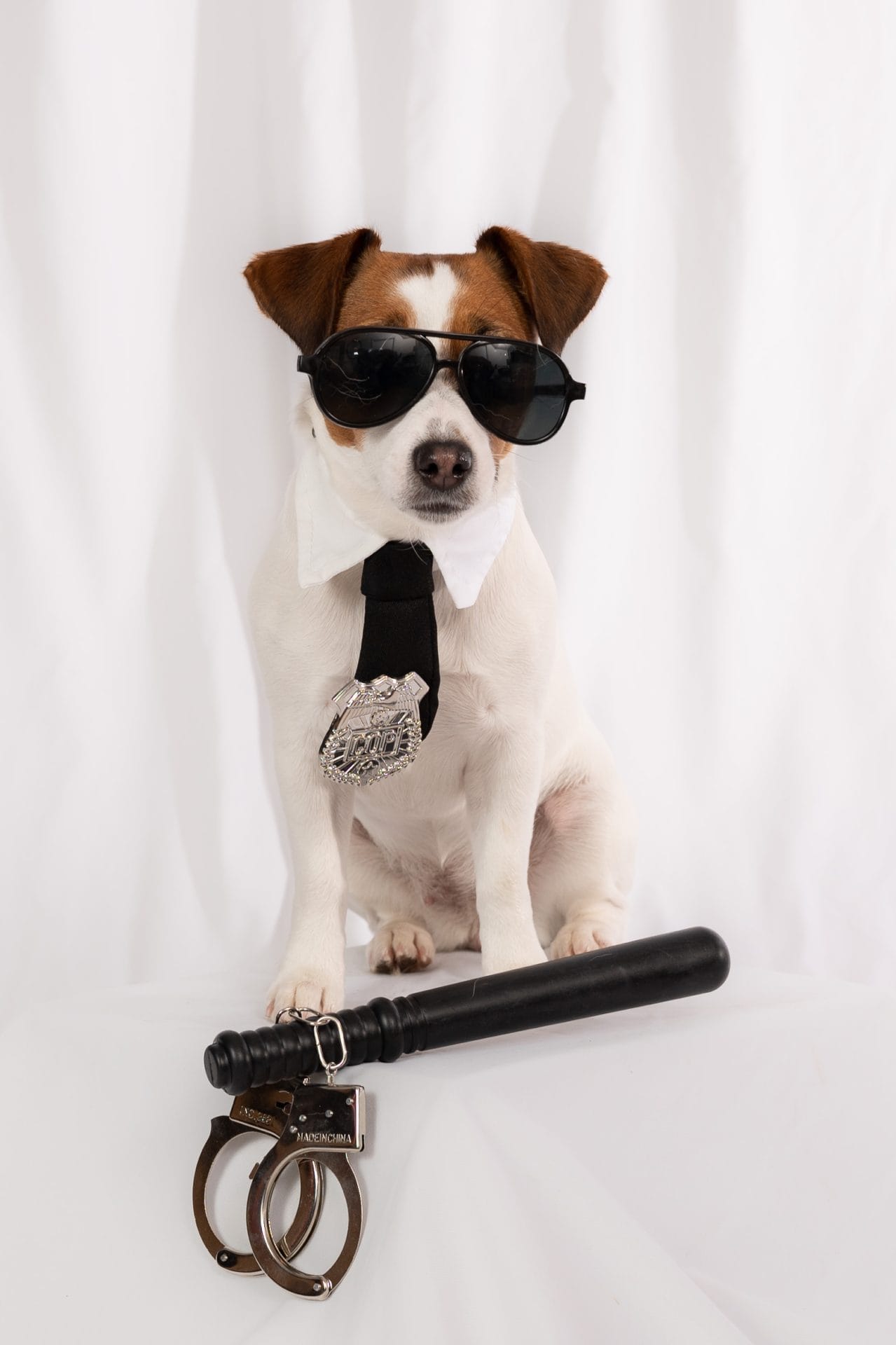 Genevieve, dog wearing sunglasses and police badge next to baton and handcuffs.
