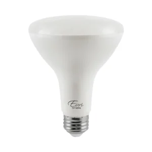 Euri Lighting BR30 LED bulb standing upright on a white background.