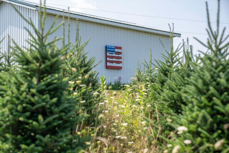 Christmas tree farm with a white barn displaying a rustic American flag.
